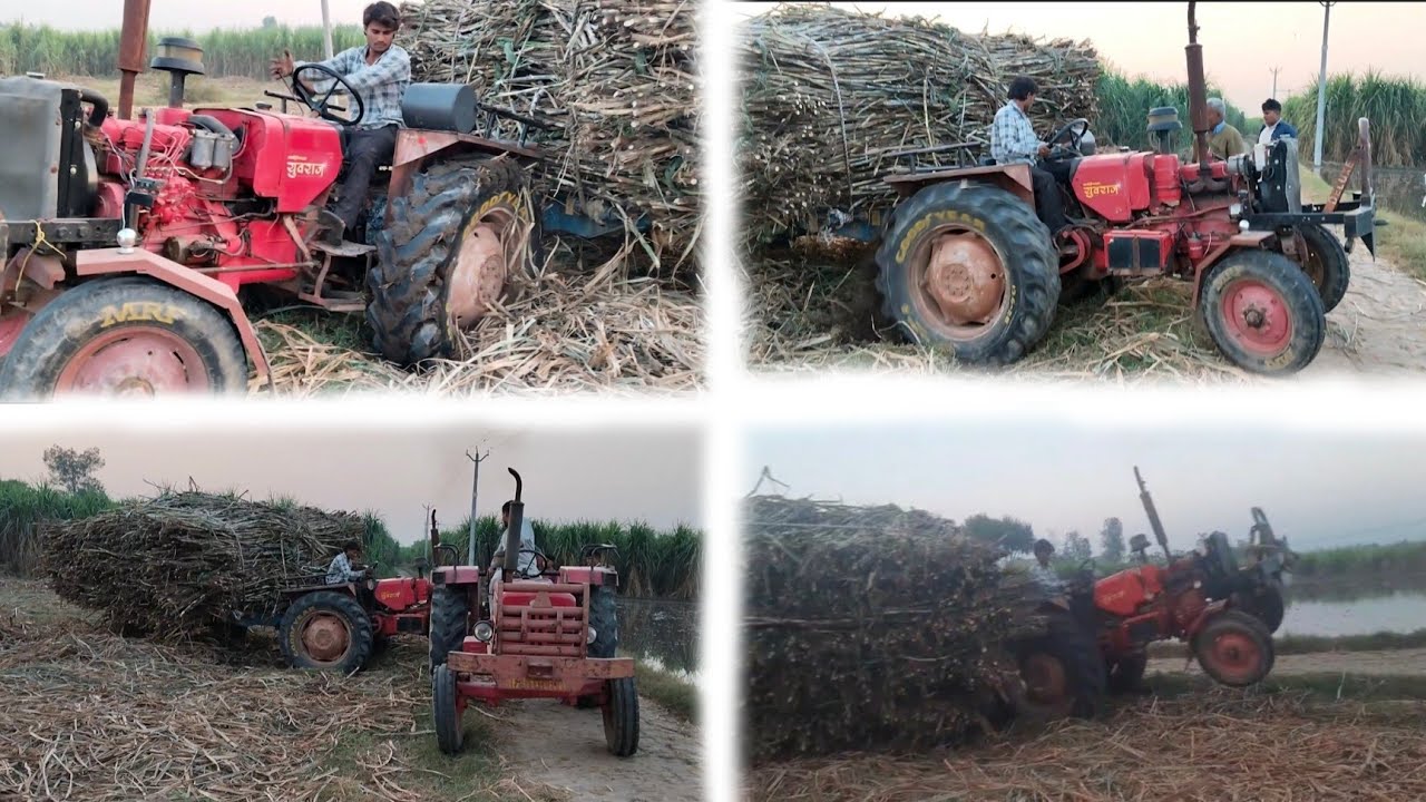 Apna Mahindra dhas gya tha or dekho kese nikala😲😲😲😲🚜🚜🚜💪🏻💪🏻💪🏻🦅🦅🦅