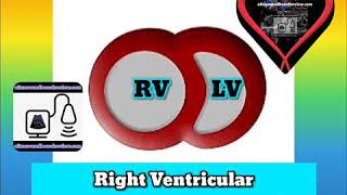 Right Ventricular Pressure and Volume Overload
