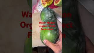 Watermelon direct from farm#watermelon #farm #organicfarming #shorts #r