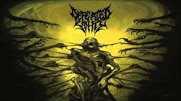 MY C-D Album Review Of Defeated Sanity