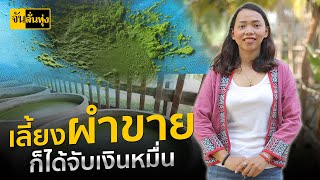 เลี้ยง ไข่ผำ ขาย! ได้จับเงินหมื่น | จัน ลั่นทุ่ง