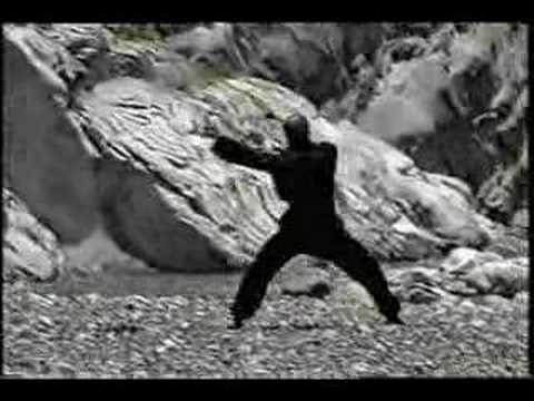 Dragon Style Kung Fu