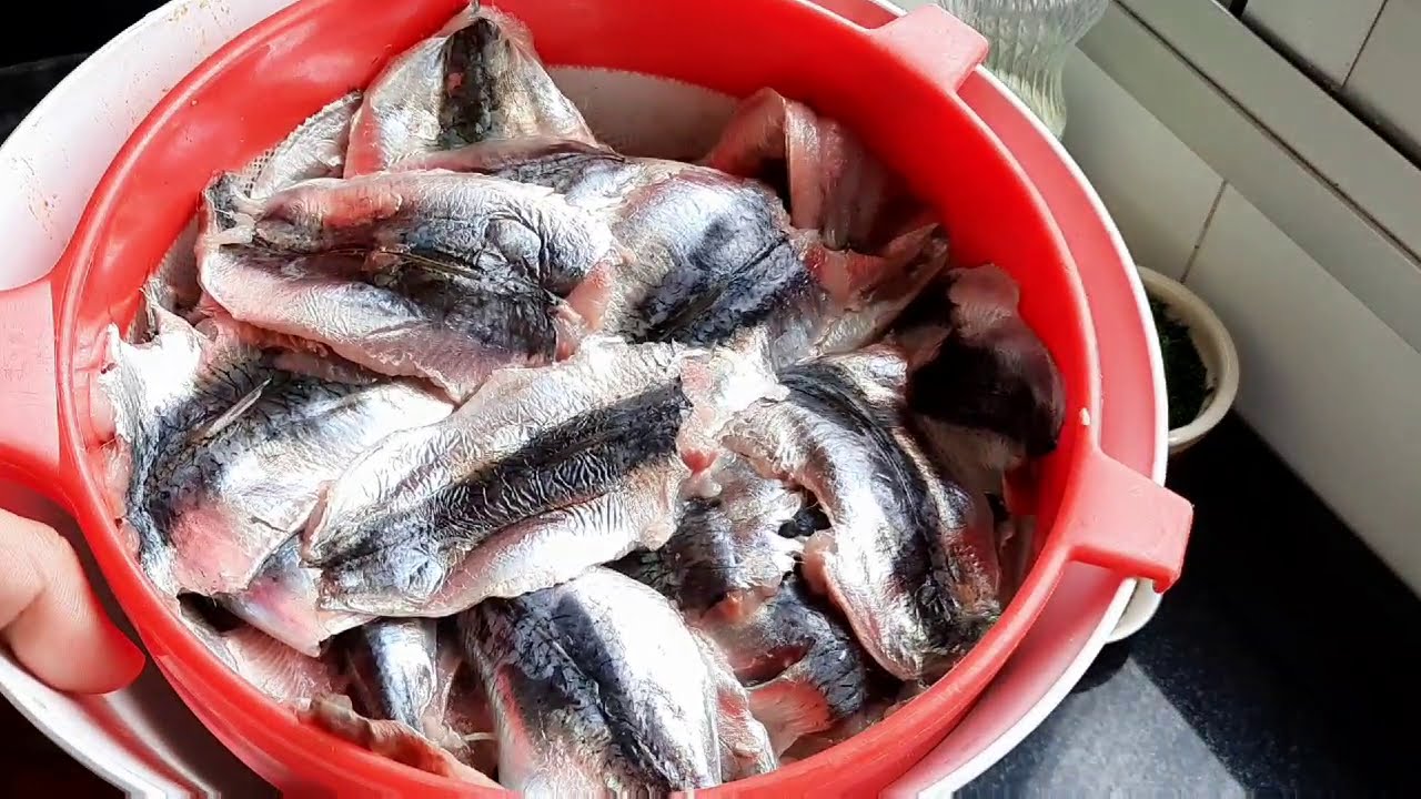 عمرني نتغير علاش ولا ش؟؟؟ حقاش مبقيت نزلت وصفات السردين 🥰 ها  هو طبق سردين مشرمل  روعة مع سلطة منعشة