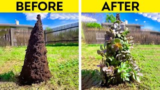 Super Gardening Hacks to make your Plants look Amazing