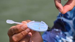 Method feeder škola - Letní výpravy za kapry #rybaření