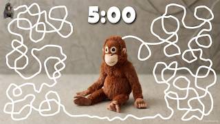 5 Minute Timer | Can Punch Reach His Plushie? 🐒