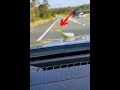 Snake is ANGRY after it wakes up on highway