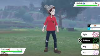 Wild battle Pokémon Sword and Shield