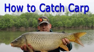 How to Catch Carp - for Beginners