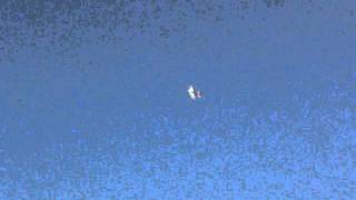 acromaster MULTIPLEX Maiden flight