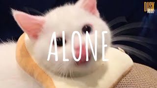 [Vietsub   Lyric] Alone (remix cute) - DJ Komang Rimex