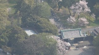 平成最後の桜に38万人 皇居・乾通りの一般公開