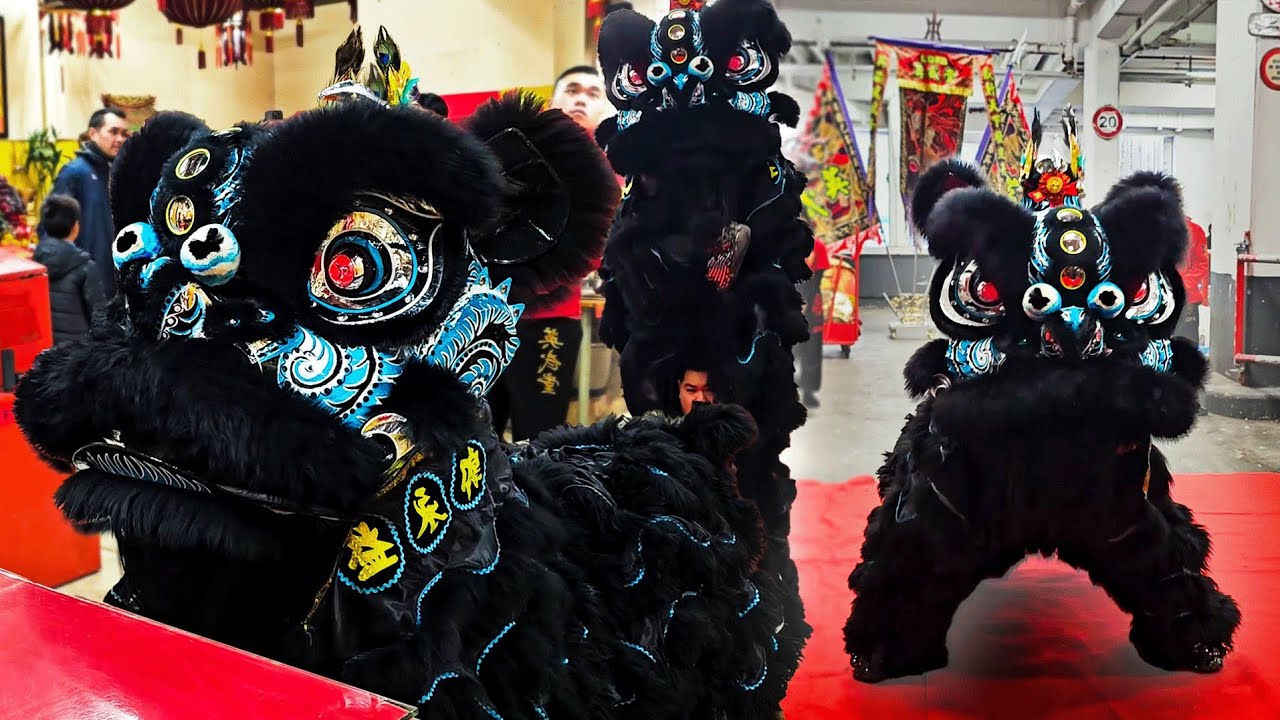 Lion Dance Franco Asiatique 英武堂 (LDFA) - Eye-Dotting Ceremony 2024 - DAMIEN