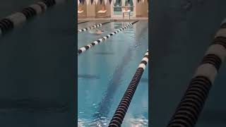 BSA Swim Test