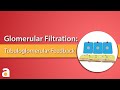 Glomerular filtration tubuloglomerular feedback