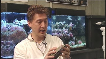 Professor David Kisailus on Duplicating Nature