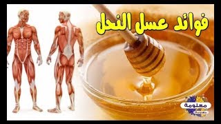 شاهدوا ماهي فوائد عسل النحل وماهو الفراق بين المزيف والاصلي؟