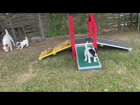 IMG 7762