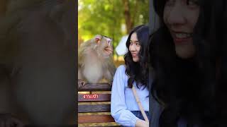 Download Lagu #funny #ihavethisthingwithplants #monkey #animals MP3