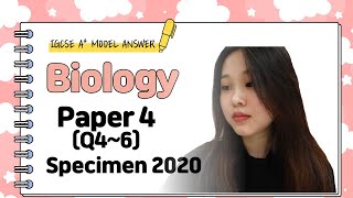 IGCSE Biology Paper 4 - Specimen 2020 (Q4~6) - 0610/04/SP/20
