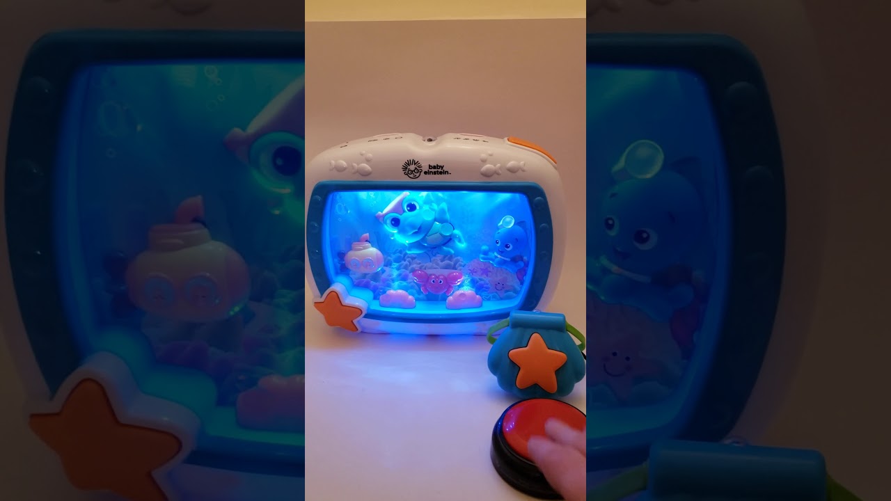 Switch adapted aquarium for people with disabilities.