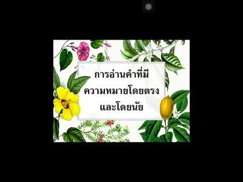 คำที่มีความหมายโดยตรงและความหมายโดยนัย ป.5