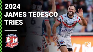 Nrl 2024 James Tedescos Try-Scoring Season