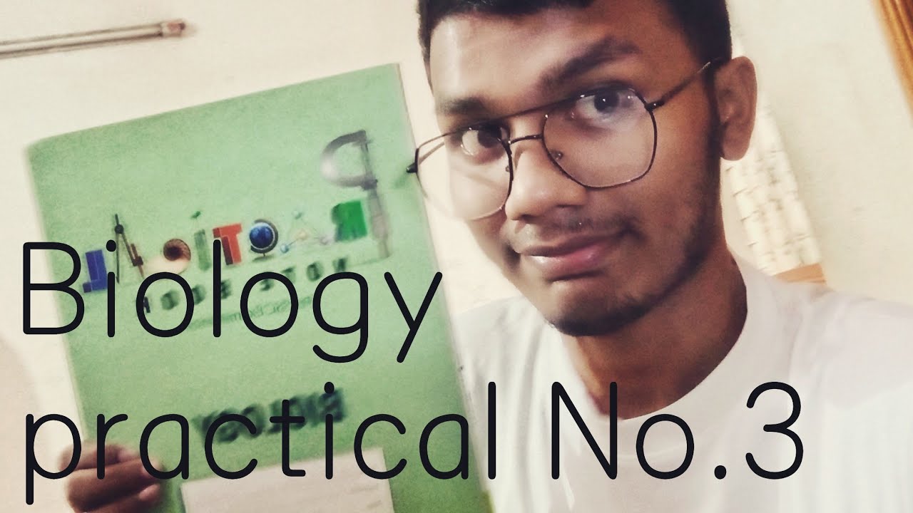 SSC Biology Practical Drawing Class 10 Ssc 2023 জীববিজ্ঞান