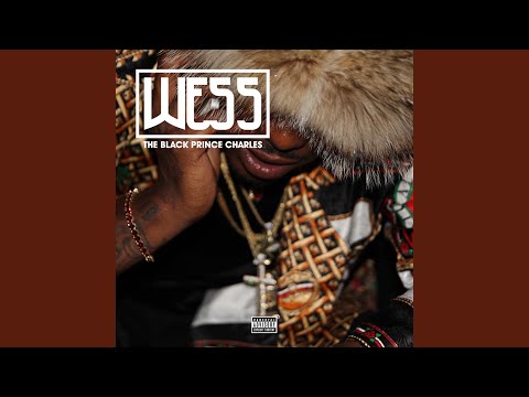 Big Body Video