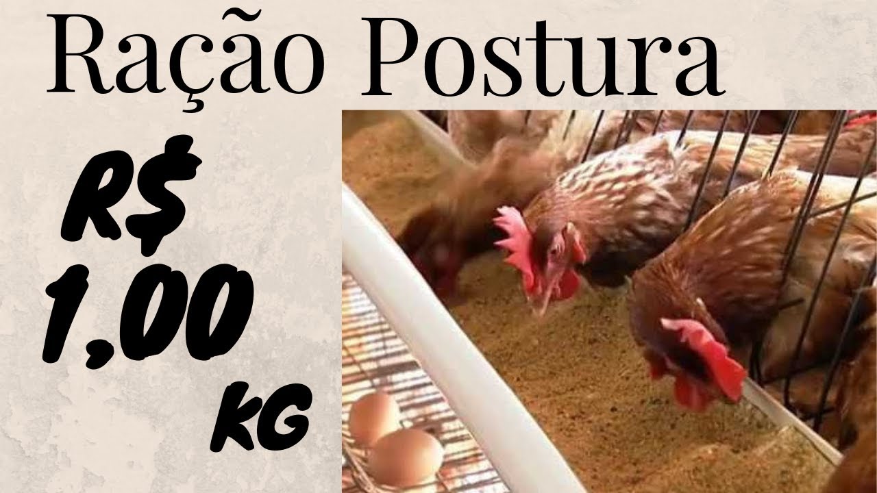 RAÇÃO DE POSTURA POR APENAS R$ 1 REAL O QUILO APRENDA A FAZER