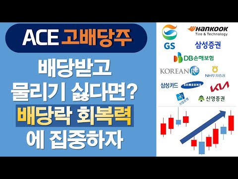 배당금 받고 주가 떨어질까 봐 무섭다면? 딱 '이것'만 확인하세요.