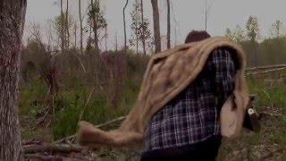 Desperation Trailer