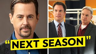 NCIS' Sean Murray Talks POSSIBLE Return For Gibbs And DiNozzo..