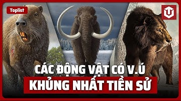 CÁC LOÀI ĐỘNG VẬT CÓ V.Ú KHỦNG NHẤT THỜI TIỀN SỬ