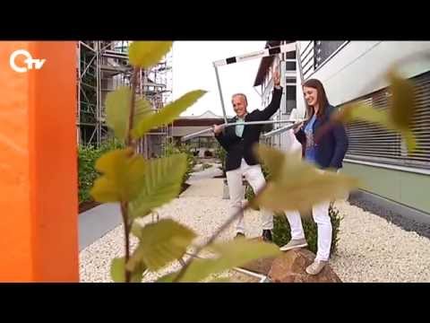 Warum Gewinner mehrfach siegen – OTV