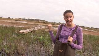 RMP -  Environmental Scientist - Career Video