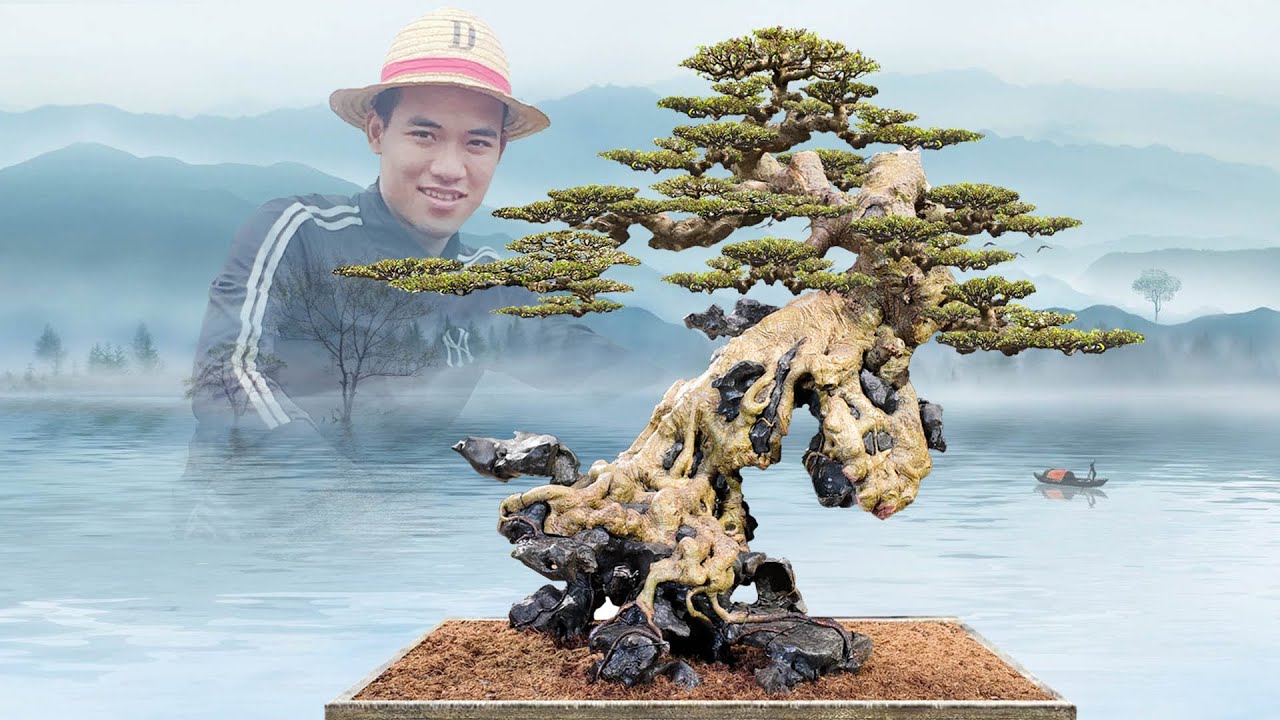 Lột Xác Thay Đổi Cục Diện Cho Cây Sanh Quê | Dũng Mũ Rơm