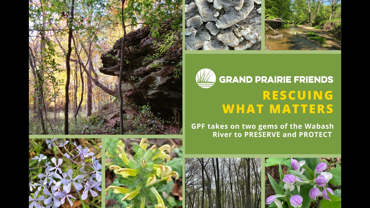 Grand Prairie Friends acquires 200+ Acres of high conservation sandstone cliffs and towering oaks in the Wabash River Valley