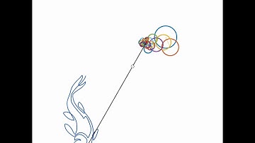 Tatoo Epicycles in Polar Coordinates Using FFT