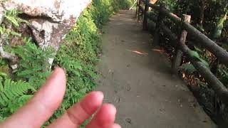 1070702和竹節蟲道早安(2)