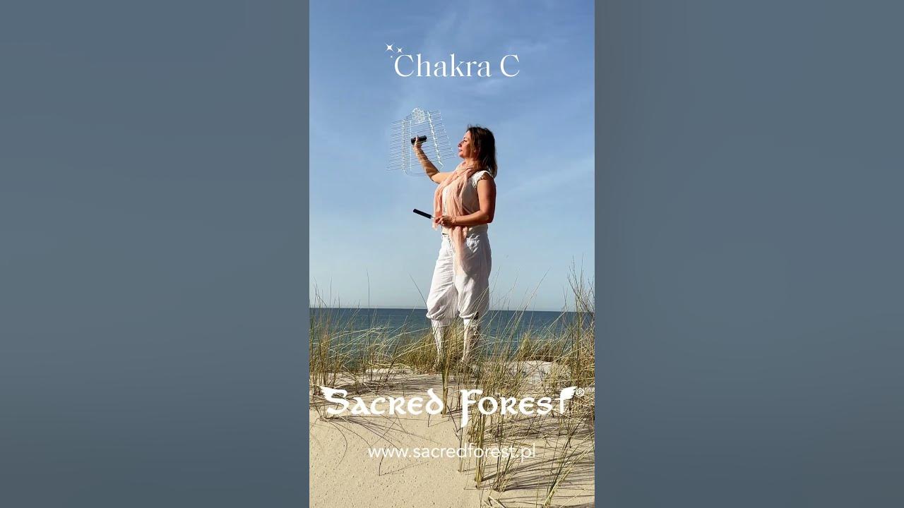 Chakra C - Crystal Harp Presentation #crystalharp Chakra C - Crystal Harp Presentation #crystalharp