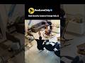 Real Security Camera Footage Only