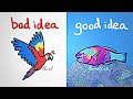 Coloration and Communication in Coral Reefs