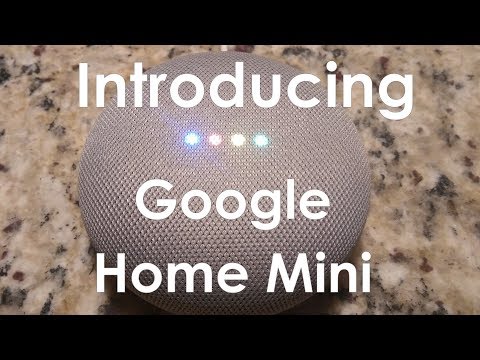 Introducing Google Home Mini