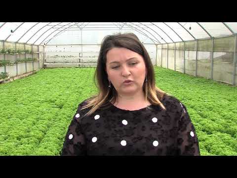 ნაზი ხოზრევანიძე - ქალები პანდემიაში