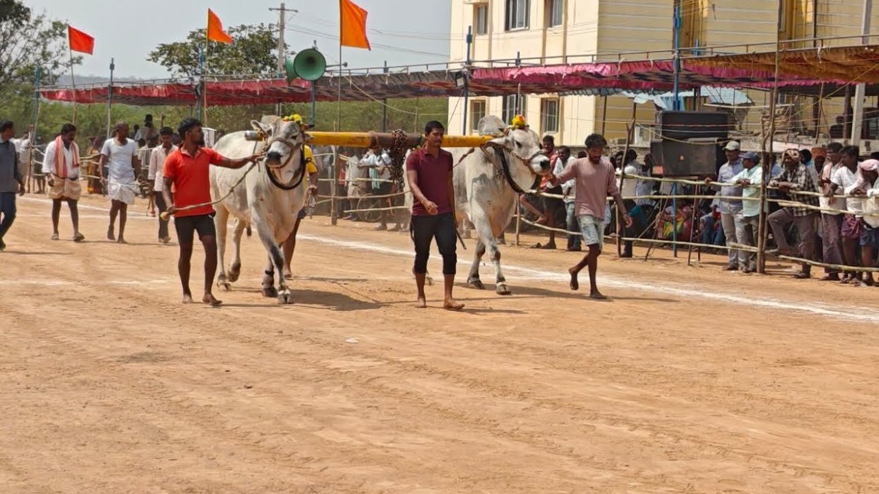 శ్రీ అహోబిల లక్ష్మీ నరసింహ స్వామి న్యూ క్యటగిరి విభాగానికి 9 వ జత