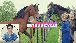 VET ENDO | Specifics of Estrus Cycle: Mare | Student Output