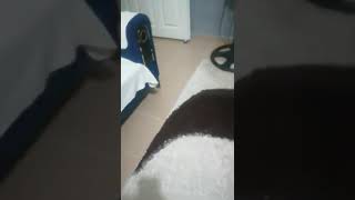 faruk abi çok soğuk kanlısın