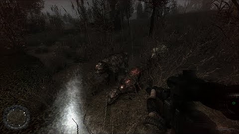 S.T.A.L.K.E.R. - Autumn Aurora 2 Adventures - Ep 7: Hunting on the Way to Dark Valley