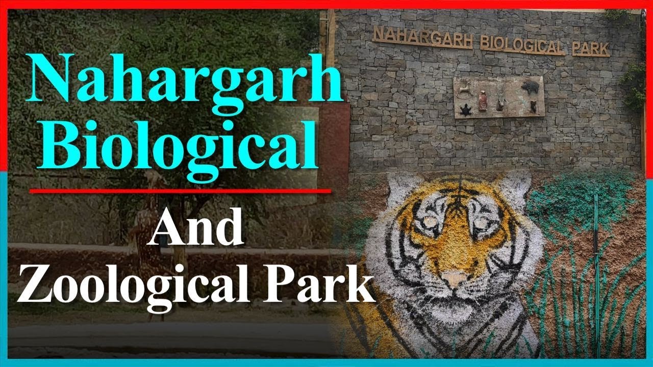 Nahargarh Biological Park Nahargarh Biological Park Wild 